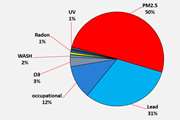 Burden of disease attributable to environmental risk factors in Iran